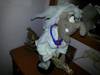 20151128_170146.jpg