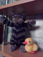 IMG_20190211_211333.thumb.jpg.bd8767ee4a0b473efe38e50aa0d965fc.jpg