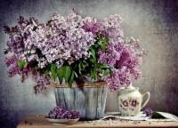 still_life-1448046.jpg