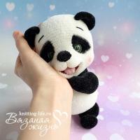 2073.thumb.jpg.961e1debbf638e56db5072dd8be08e92.jpg